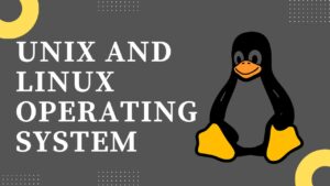 How to find top 5 largest files in directories on Linux/Unix